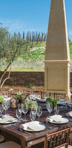 Outdoor Dining with Vineyard View