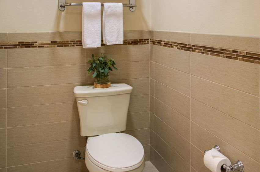 A Toilet With A Plant On The Tank