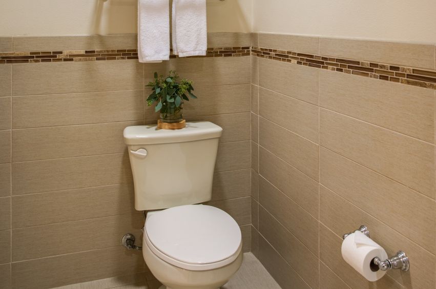 A Toilet With A Plant On The Tank